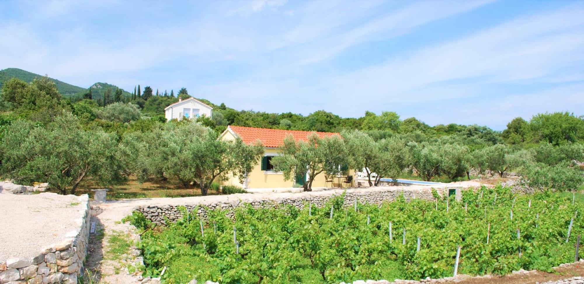 Vineyard House & Olive Grove House Villa Račišće Eksteriør billede