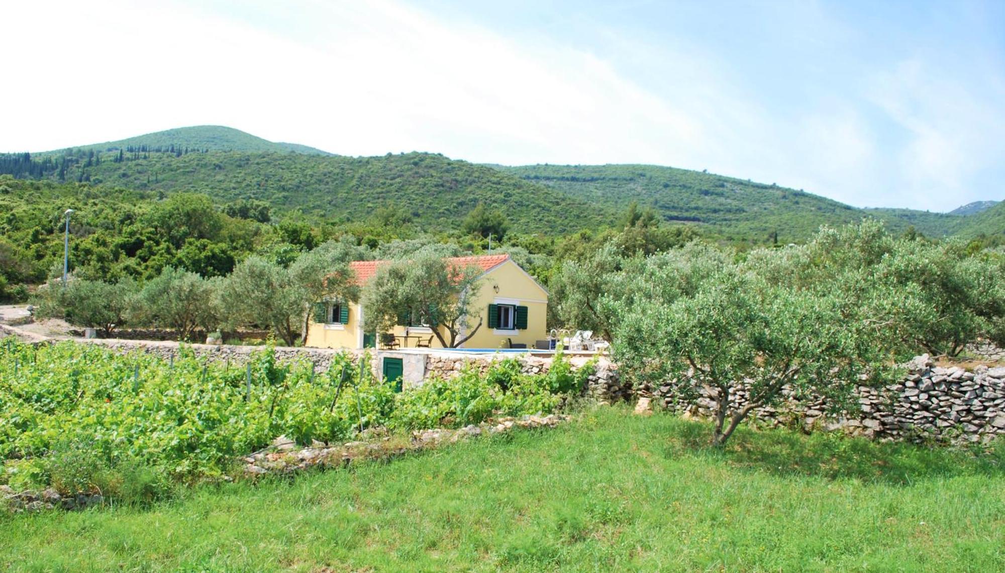 Vineyard House & Olive Grove House Villa Račišće Eksteriør billede