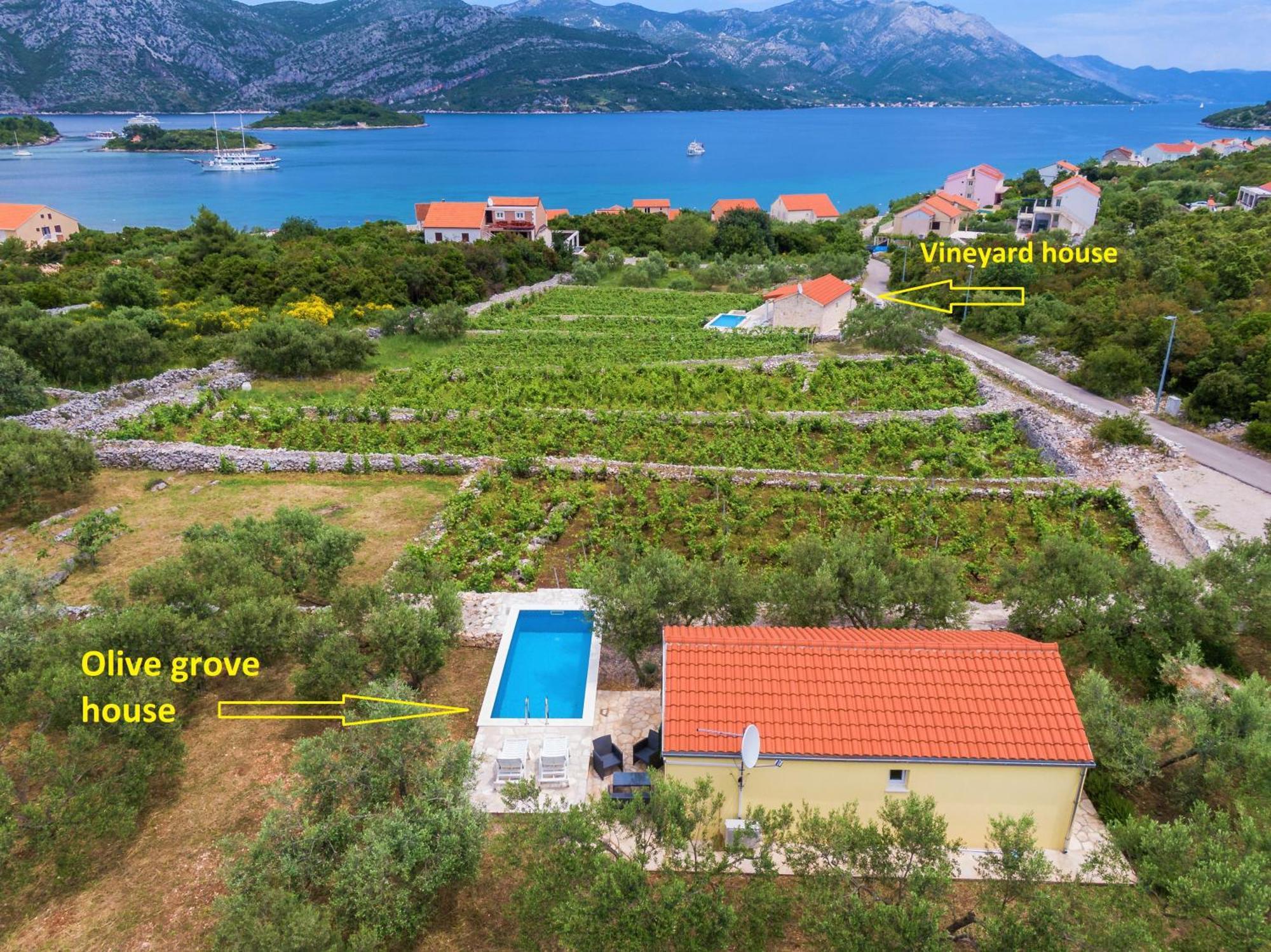 Vineyard House & Olive Grove House Villa Račišće Eksteriør billede