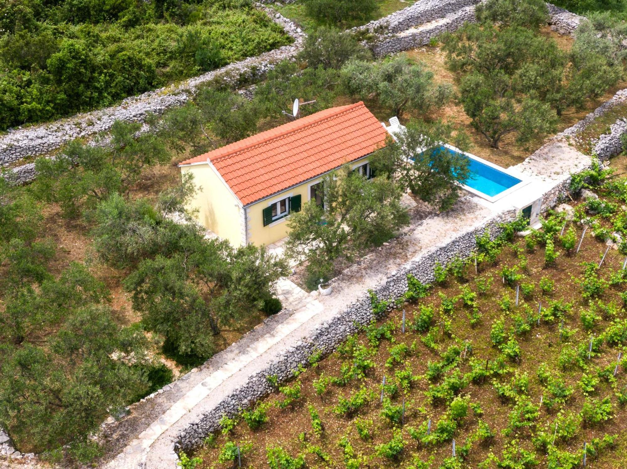 Vineyard House & Olive Grove House Villa Račišće Eksteriør billede