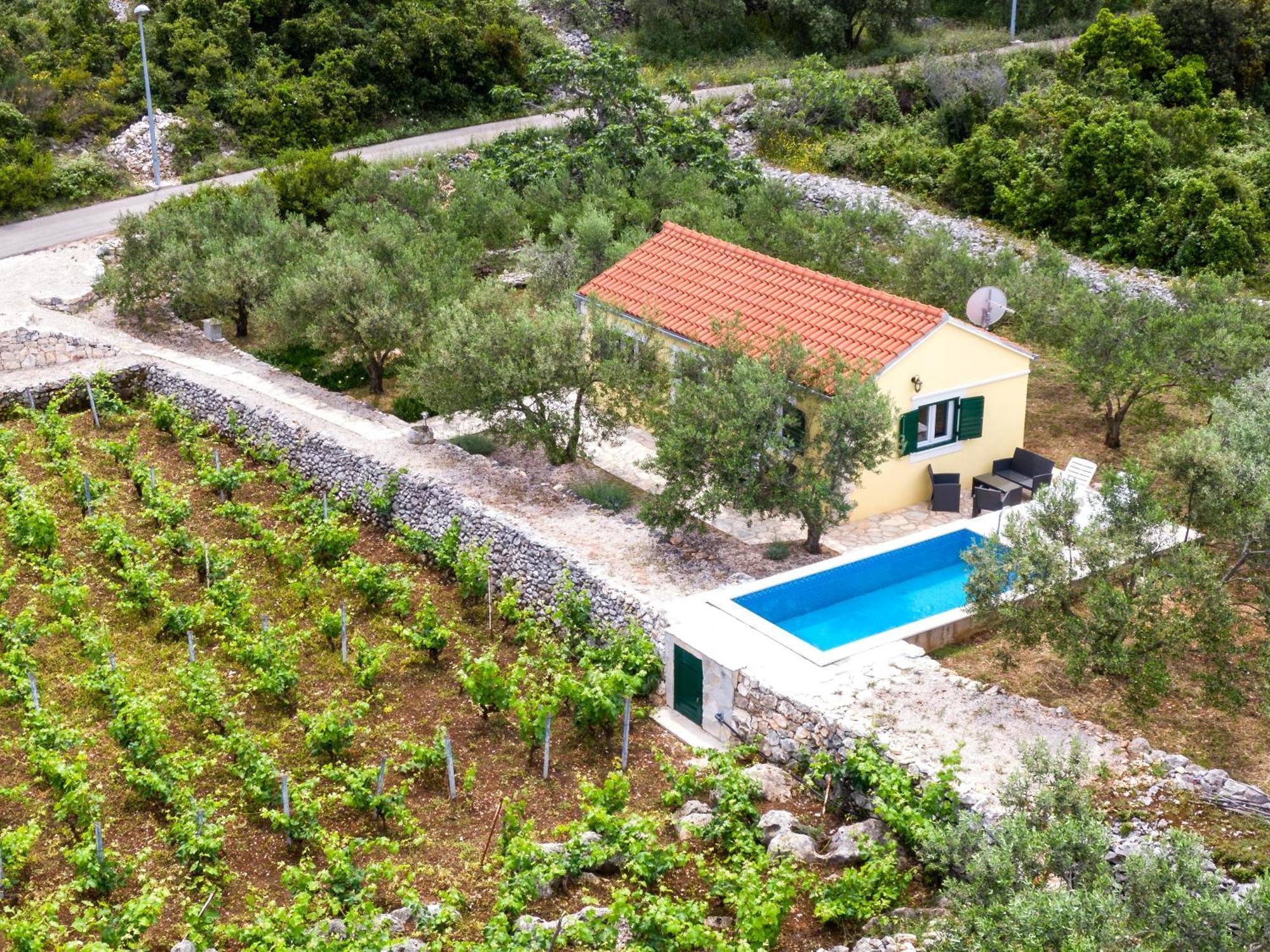 Vineyard House & Olive Grove House Villa Račišće Eksteriør billede