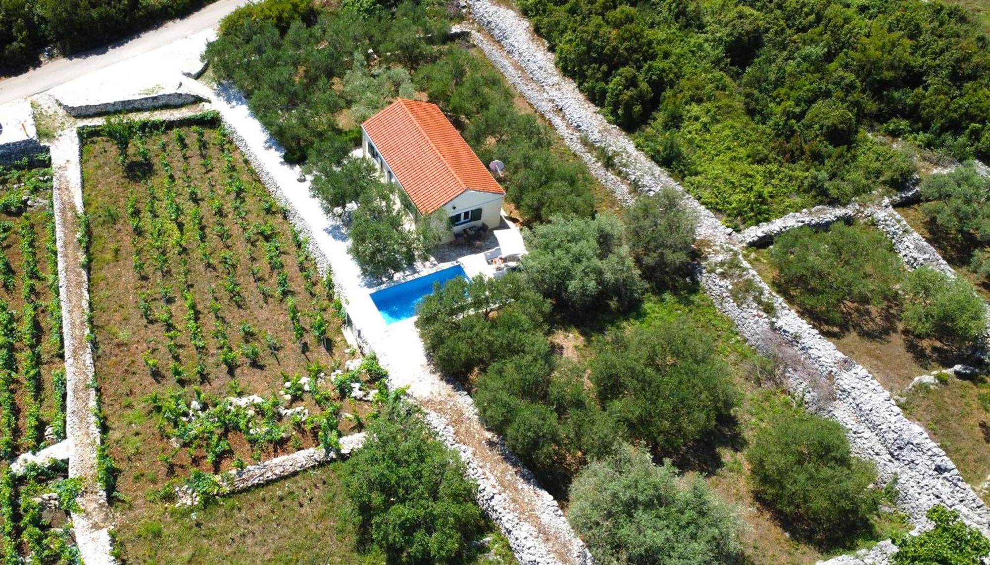 Vineyard House & Olive Grove House Villa Račišće Eksteriør billede