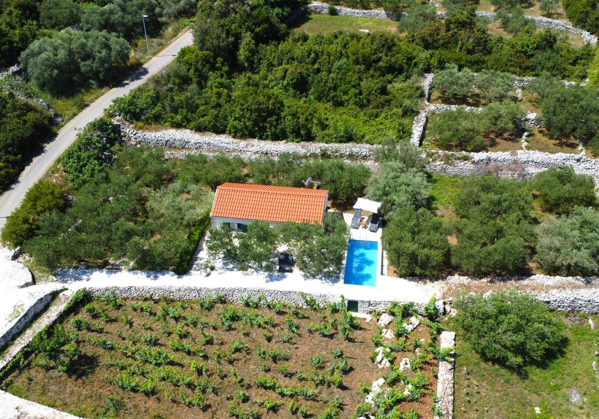 Vineyard House & Olive Grove House Villa Račišće Eksteriør billede