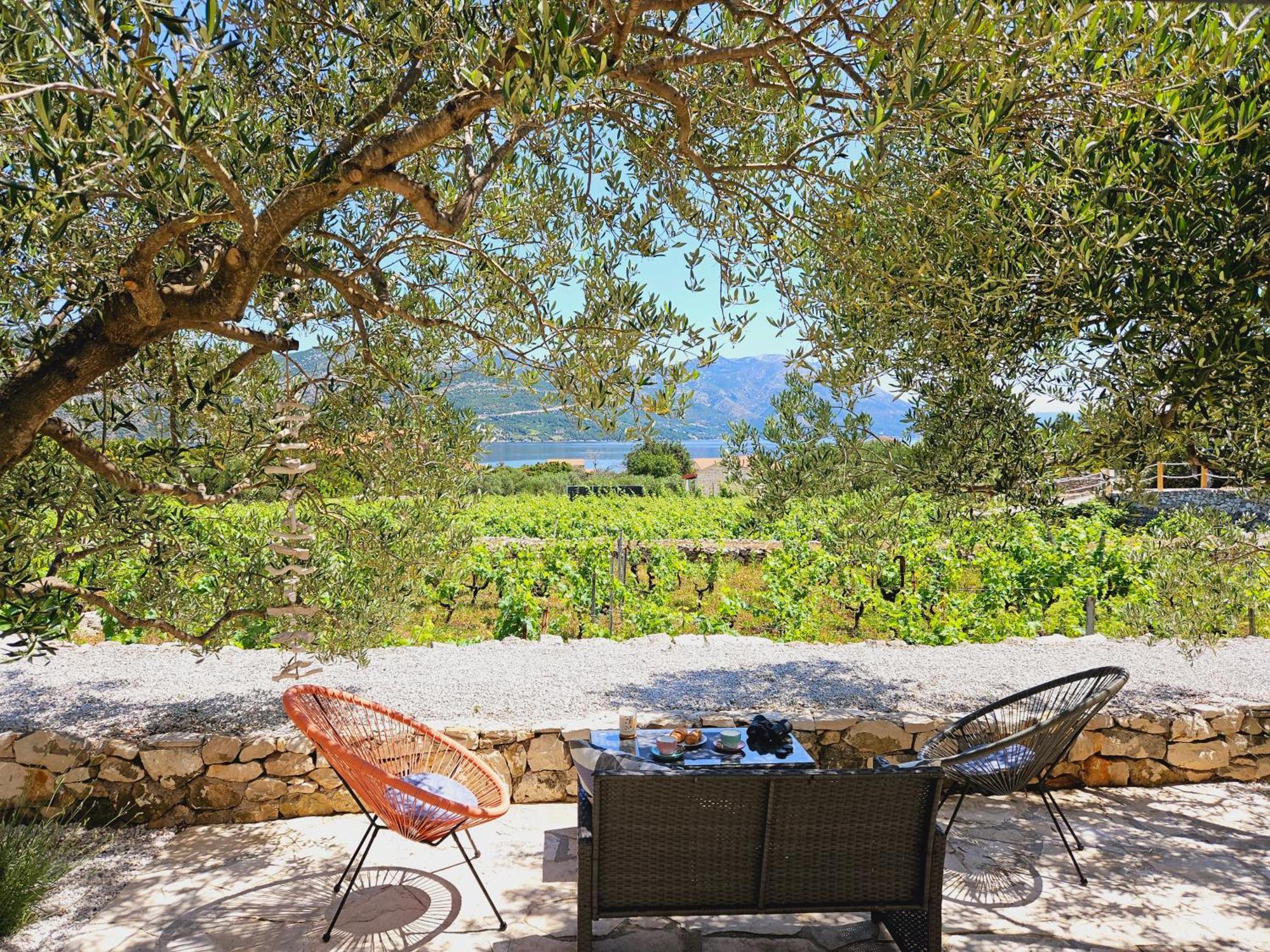 Vineyard House & Olive Grove House Villa Račišće Eksteriør billede