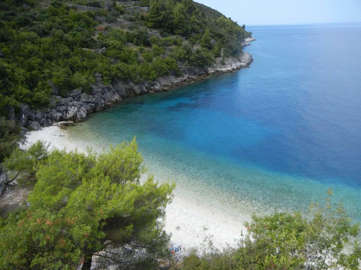 Vineyard House & Olive Grove House Villa Račišće Eksteriør billede