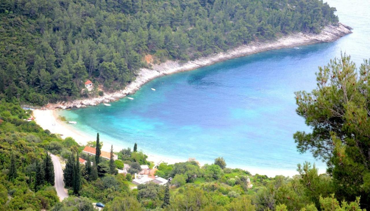 Vineyard House & Olive Grove House Villa Račišće Eksteriør billede