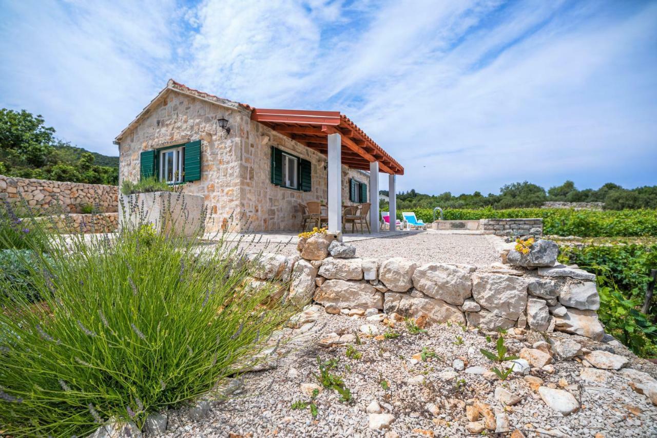 Vineyard House & Olive Grove House Villa Račišće Eksteriør billede