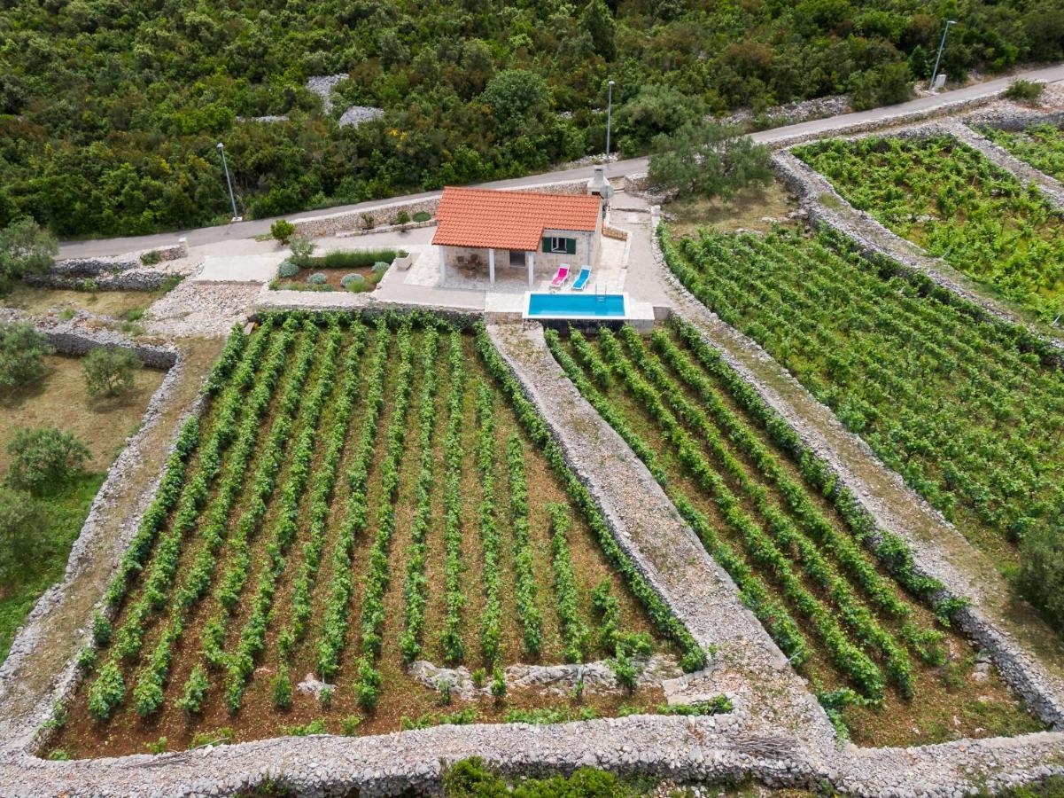 Vineyard House & Olive Grove House Villa Račišće Eksteriør billede