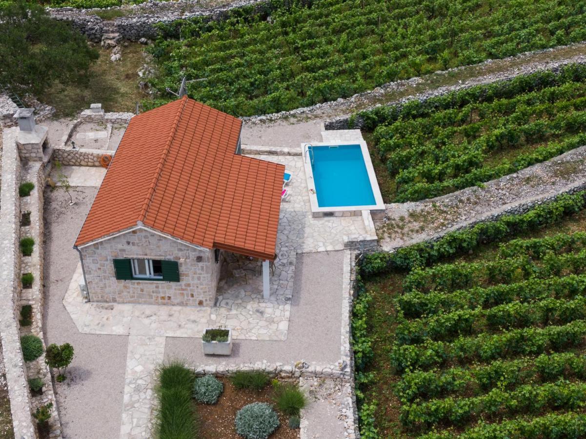 Vineyard House & Olive Grove House Villa Račišće Eksteriør billede