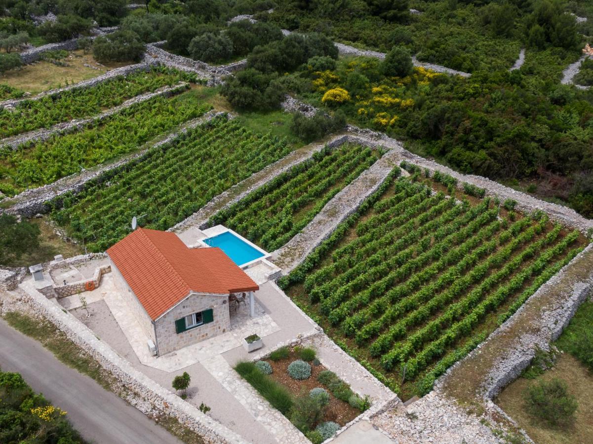 Vineyard House & Olive Grove House Villa Račišće Eksteriør billede